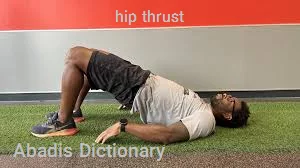 hip thrust